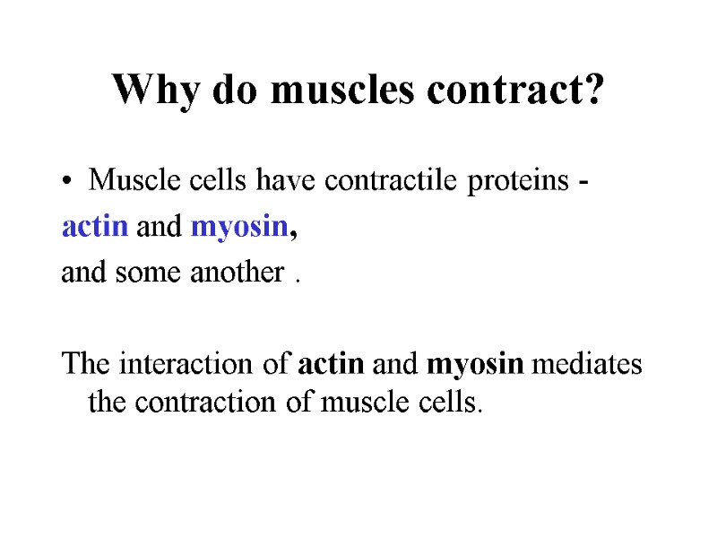 Why do muscles contract? Muscle cells have contractile proteins - actin and Why do muscles contract? Muscle cells have contractile proteins - actin and